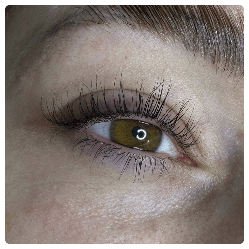 Lash & Browlifting Schulungen