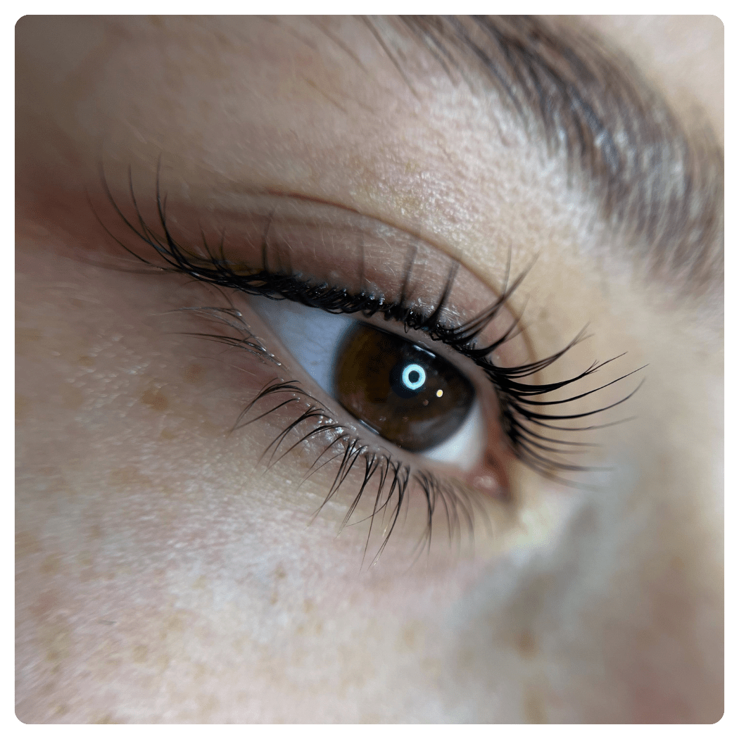 Lash & Browlifting Schulungen