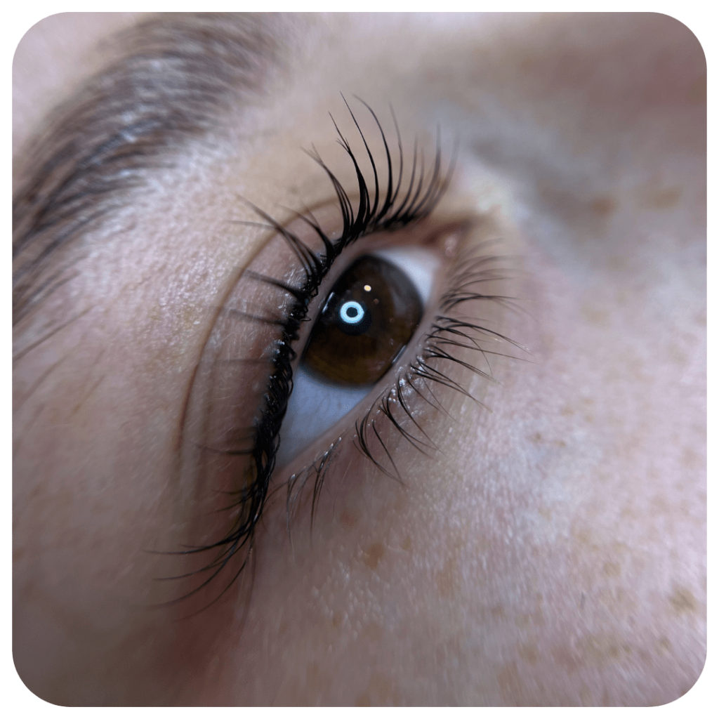 wimpernlifting schulung
